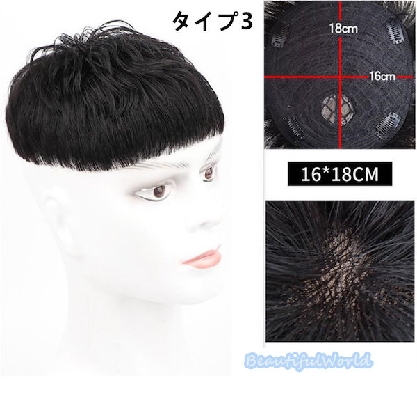 Qoo10] 人毛100％ ウィッグ メンズ トップウ