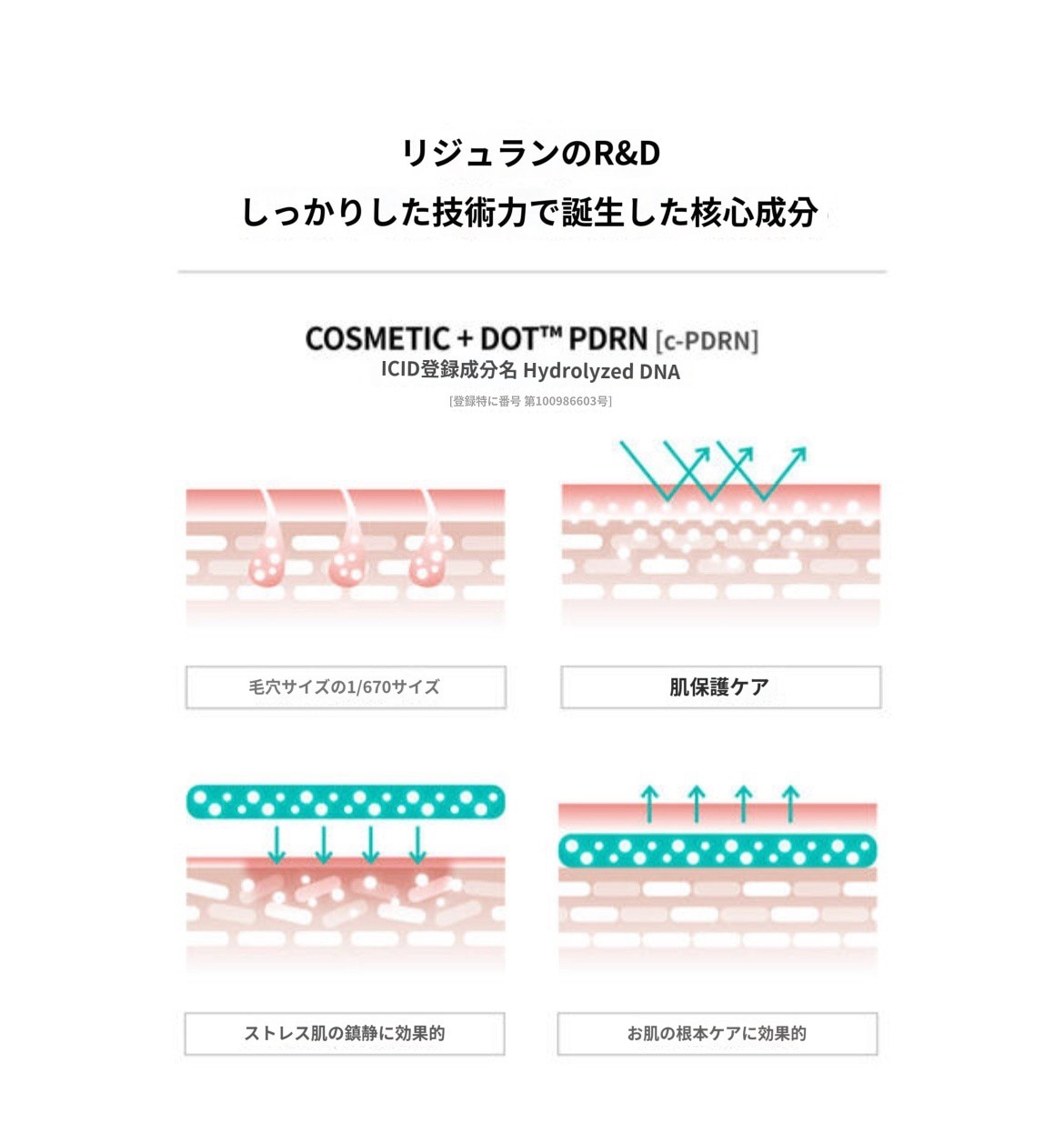 ヒルトン オーバー ゴールド デュアル エフェクト アンプル 30ml x 2個 ヒルトン オーバー ゴールド デュアル エフェクト アンプル 30ml x 2個