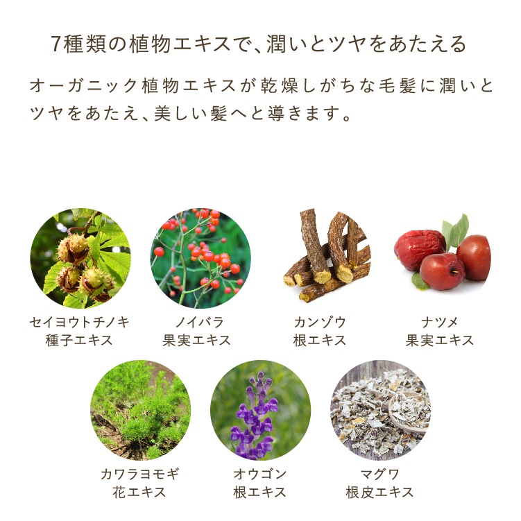 RefineStraight リファインストレート リペアシャンプー 400mL リペアトリートメント 400g ボトルセット RefineStraight リファインストレート リペアシャンプー 400mL リペアトリートメント 400g ボトルセット