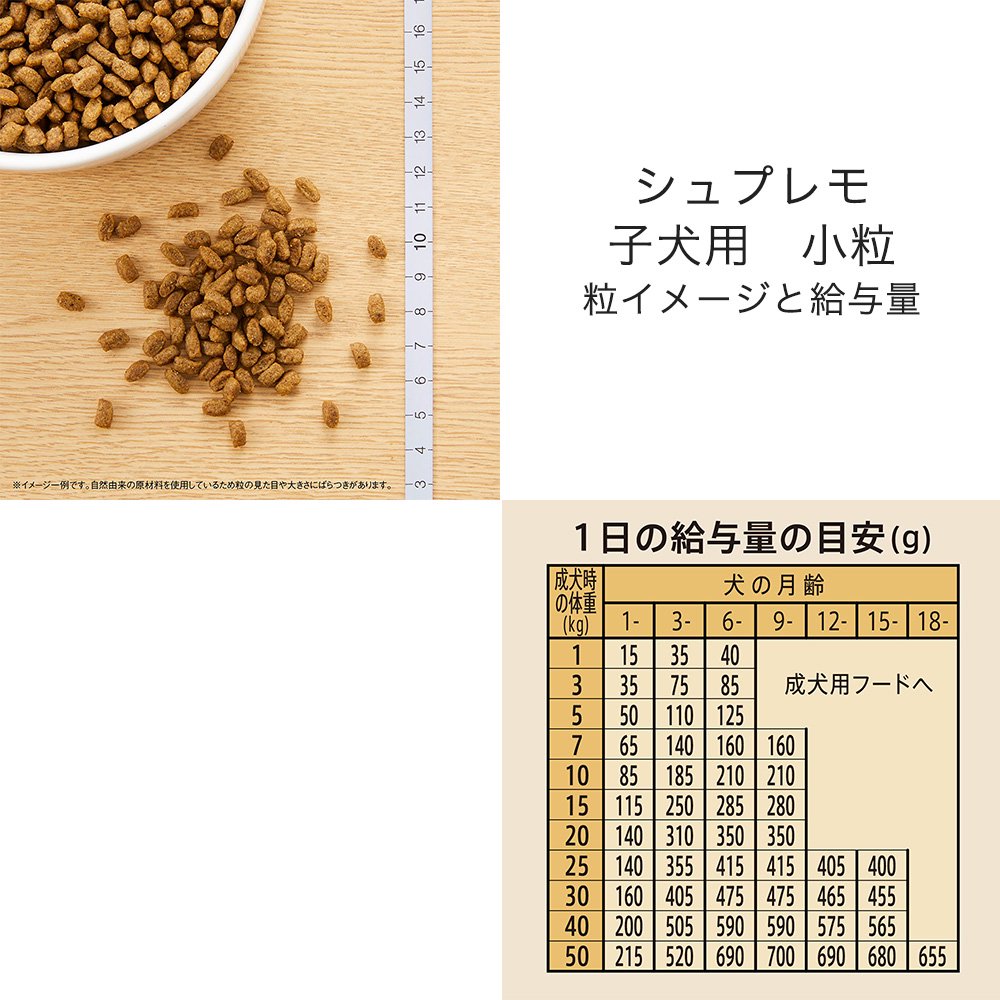 ニュートロ 体重管理用 子犬から成犬へ 切り替えセット ドライ2種2袋+ウェット4個(2個+2個おまけ)+ジャーキー CRC45―02―53―10―00 ニュートロ 体重管理用 子犬から成犬へ 切り替えセット ドライ2種2袋+ウェット4個(2個+2個おまけ)+ジャーキー CRC45―02―53―10―00