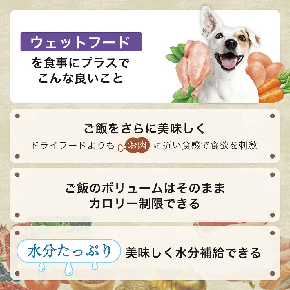 ニュートロ 体重管理用 子犬から成犬へ 切り替えセット ドライ2種2袋+ウェット4個(2個+2個おまけ)+ジャーキー CRC45―02―53―10―00 ニュートロ 体重管理用 子犬から成犬へ 切り替えセット ドライ2種2袋+ウェット4個(2個+2個おまけ)+ジャーキー CRC45―02―53―10―00