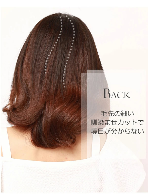 私元気 人毛 部分ウィッグ BHADS812-25 (送料無料) ポイントウィッグ 白髪かくし つけ毛 トップカバー 女性 レディース つむじ付き レミーヘアー レミーヘア 自然 ナチュラル 私元気 人毛 部分ウィッグ BHADS812-25 (送料無料) ポイントウィッグ 白髪かくし つけ毛 トップカバー 女性 レディース つむじ付き レミーヘアー レミーヘア 自然 ナチュラル