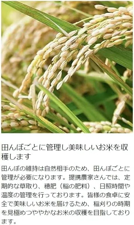 新米 美味しいお米 令和3年産 色っぽ 埼玉県産 彩のきずな 白米 27kg 売買されたオークション情報 落札价格 【au  payマーケット】の商品情報をアーカイブ公開