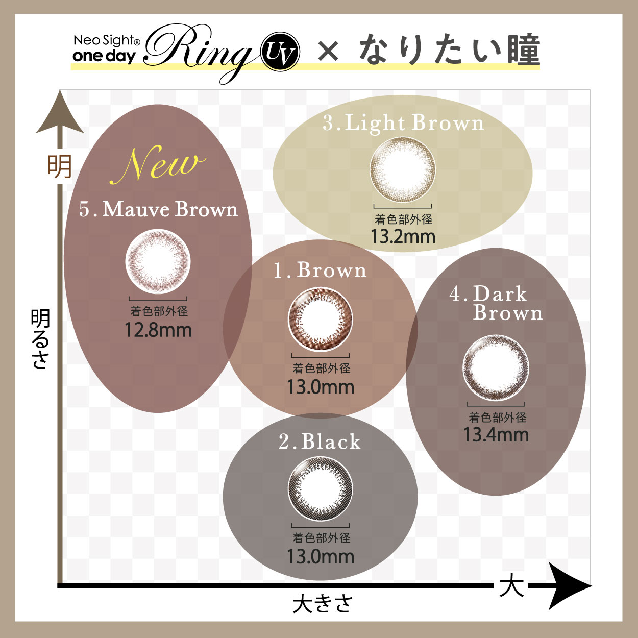 2箱セット　ワンデー30枚入