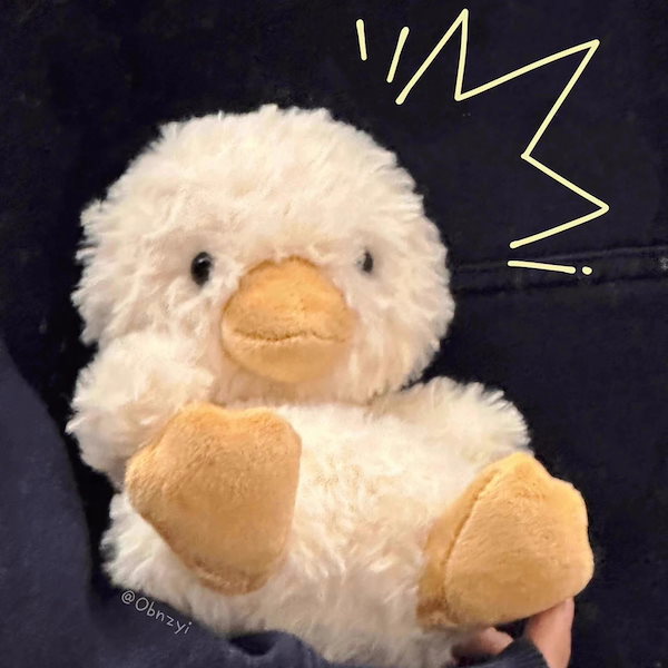 レア　ジェリーキャット　 アヒル　ぬいぐるみ Jellycat ジェリーキャット Dorit Duckling アヒル | ETOFFE ＜エトフ