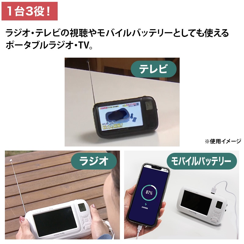innowa buddy ポータブルラジオ・TV 日テレポシュレ(日本テレビ 通販 ポシュレ)