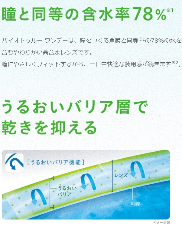 ボシュロムジャパン バイオトゥルー ワンデー 1箱30枚入 6箱セット　送料無料