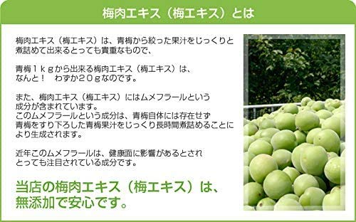 【 梅肉エキス専門店が作った 】純正 梅肉エキス（梅エキス）120g【無添加・大容量120g・紀州産梅使用（国内産・国産）・みなべ町製造・青梅・塩分ゼロ・ばいにくエキス・うめエキス】