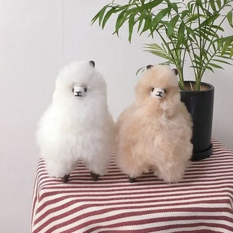 [Made in Peru][人氣賞品] アルパカのぬいぐるみ 3色 / ぬいぐるみ / 動物のぬいぐるみ / プレゼント / プレゼントのおすすめ