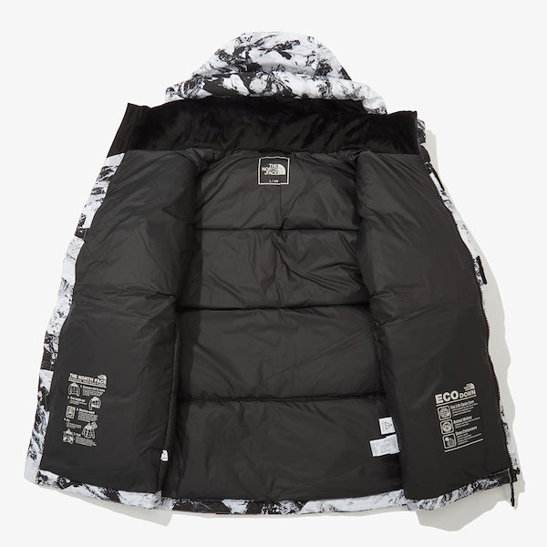 TNF 22AW正規品 NOVELTY CHALLENGE AIR DOWN JACKET 人気商品