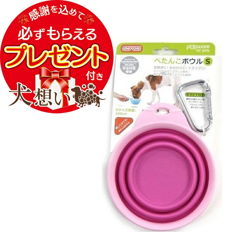 【プレゼント付】ソルビダ グレインフリー チキン 子犬用 1.8kg 2個セット ぺたんこボウル ピンク Sサイズ付き 【プレゼント付】ソルビダ グレインフリー チキン 子犬用 1.8kg 2個セット ぺたんこボウル ピンク Sサイズ付き