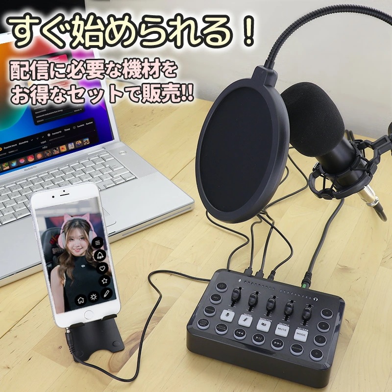 オーディオインターフェース　マイク　セット 楽天市場】マイクセット（オーディオインターフェイス｜DAW・DTM