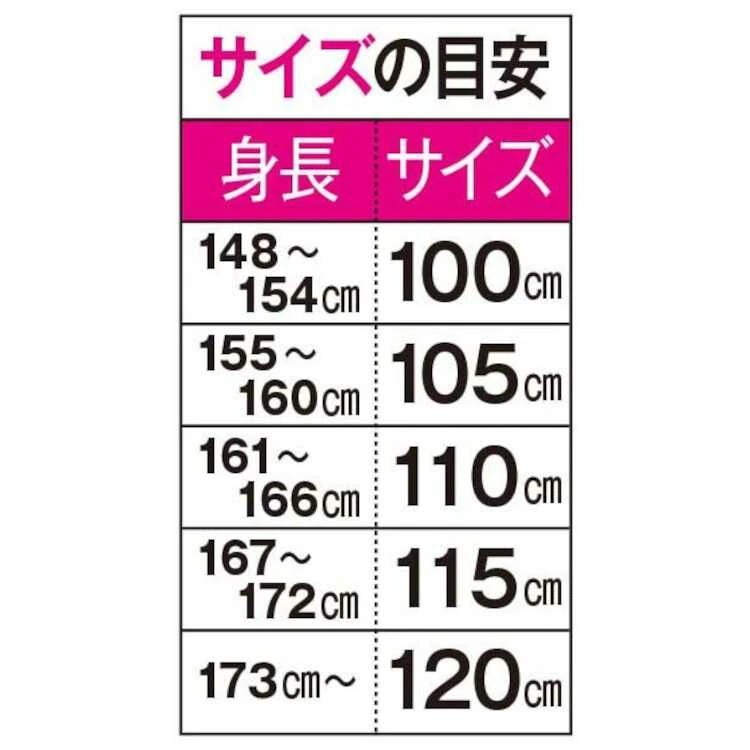 シナノ トレイルランニング用ポール トレランポール14.0 使用105cm（折りたたみ30cm） ブラック #550265 2本組