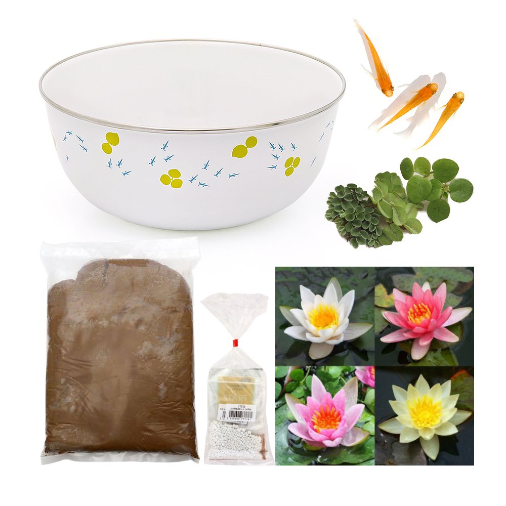 (ビオトープ)ホーローボールと色おまかせ姫スイレンとメダカのセット (姫スイレン) (メダカ)本州四国限定 CRC15―10―15―03―00 (ビオトープ)ホーローボールと色おまかせ姫スイレンとメダカのセット (姫スイレン) (メダカ)本州四国限定 CRC15―10―15―03―00