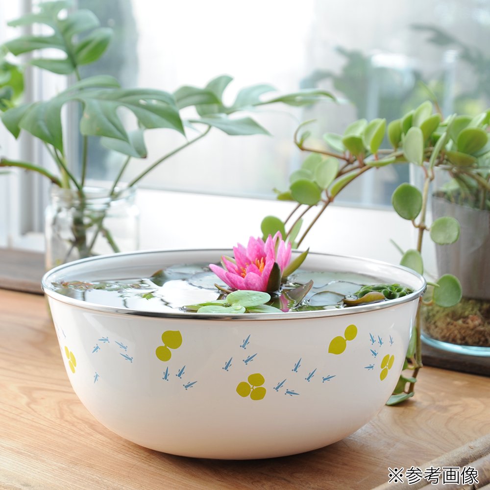 (ビオトープ)ホーローボールと色おまかせ姫スイレンとメダカのセット (姫スイレン) (メダカ)本州四国限定 CRC15―10―15―03―00 (ビオトープ)ホーローボールと色おまかせ姫スイレンとメダカのセット (姫スイレン) (メダカ)本州四国限定 CRC15―10―15―03―00