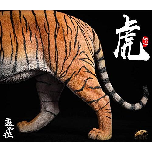 1/6 タイガー 虎 ベンガルトラ 1/6 タイガー 虎 ベンガルトラ 1/6 タイガー 虎 ベンガルトラ