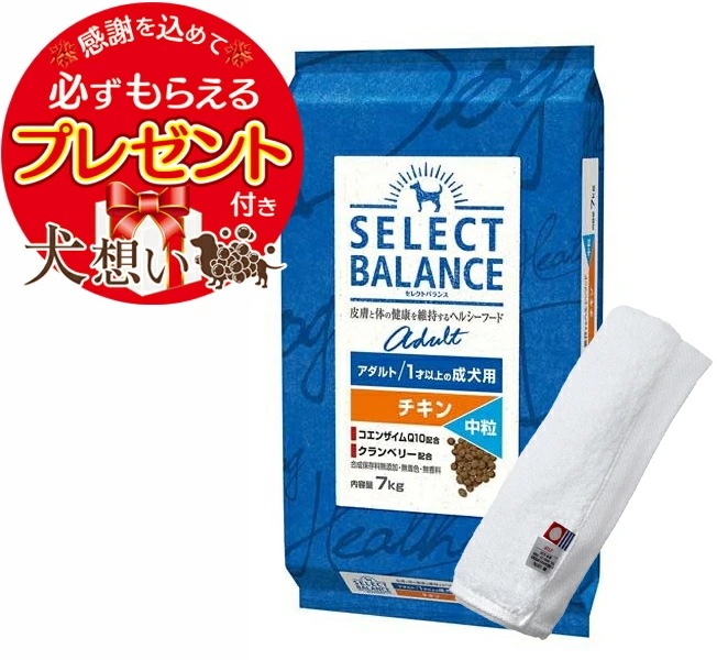 ②送料無料　セレクトバランス　アダルトチキン中粒15kg セレクトバランス アダルト チキン 小粒（成犬用）｜みんなの
