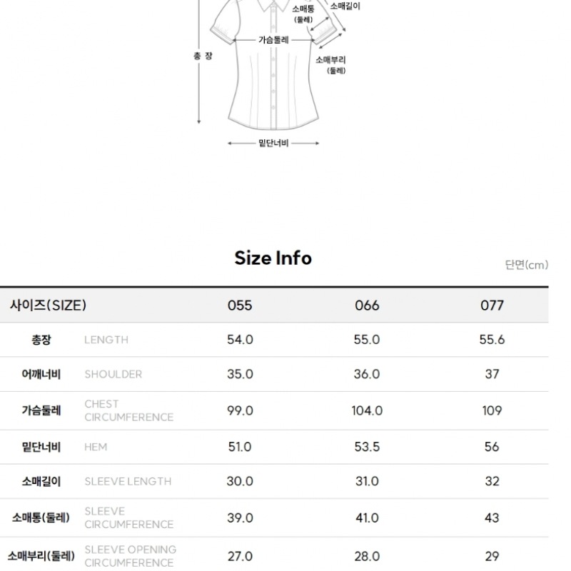 [フォレスト] エッセンシャル Vネックブラウス (SA5SSF2)