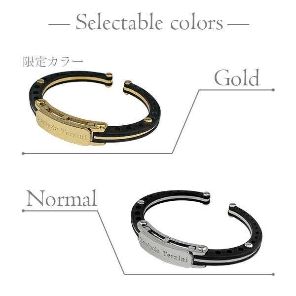 ザニポロタルツィーニ プレート ラバー バングル ブレスレット 17cm サージカルステンレス ザニポロタルツィーニ プレート ラバー バングル ブレスレット 17cm サージカルステンレス