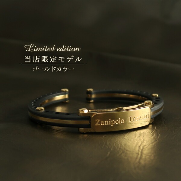 ザニポロタルツィーニ プレート ラバー バングル ブレスレット 17cm サージカルステンレス ザニポロタルツィーニ プレート ラバー バングル ブレスレット 17cm サージカルステンレス