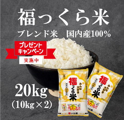 お米 日本米 20kg 米 20kg お米 安い 訳アリ 白米 ブレンド米 いろどり 生活応援米