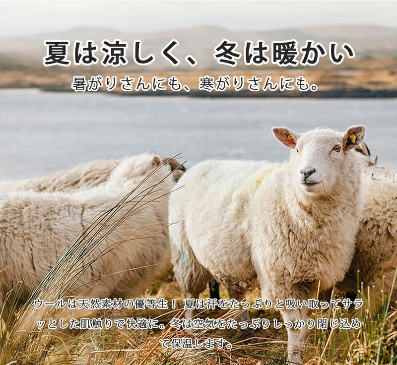 【楽天1位受賞】最高級天然ムートンラグ 本物の品質 高品質高密度のふわふわムートン 継ぎ目無し ムートンラグ 一匹物長毛ピースラグ ムートン リアルファー 高級天然ムートン おしゃれ 天然素材