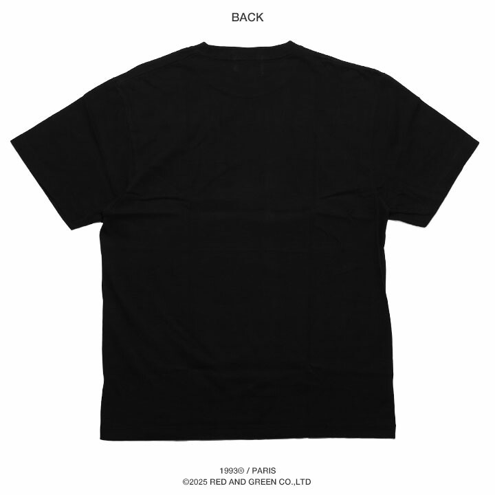 993 DESIGNED WORLD HIPHOP Tシャツ 半袖 メンズ 春夏用 黒 白 大きいサイズ ナインティーンナインティスリー 公式 ERYKAH BADU