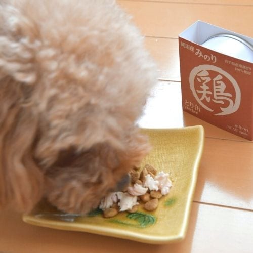 日本のみのり とり缶80g×40缶【2ケース】 サンユー研究所 鶏缶 鶏肉 犬猫用 ペット用缶詰 保存食 ペットフード ウェットフード 国産無添加 高品質