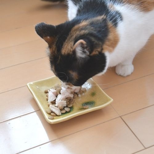日本のみのり とり缶80g×40缶【2ケース】 サンユー研究所 鶏缶 鶏肉 犬猫用 ペット用缶詰 保存食 ペットフード ウェットフード 国産無添加 高品質
