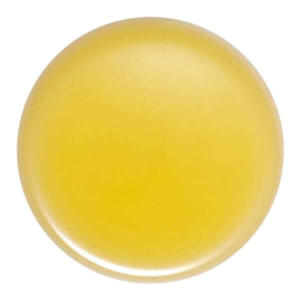 生活の木 ホホバオイルバージン(ゴールデン) 未精製 1000ml ヘア マッサージオイル ツゲ