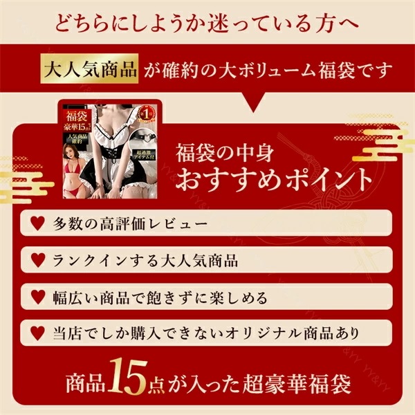 福袋 2025 豪華15点セット 人気商品 オリジナル商品 セクシーランジェリー 福袋 セクシー ランジェリー福袋 コスチューム 福袋 ベビードール 福袋 下着 福袋 上下セット ブラセット セクシー