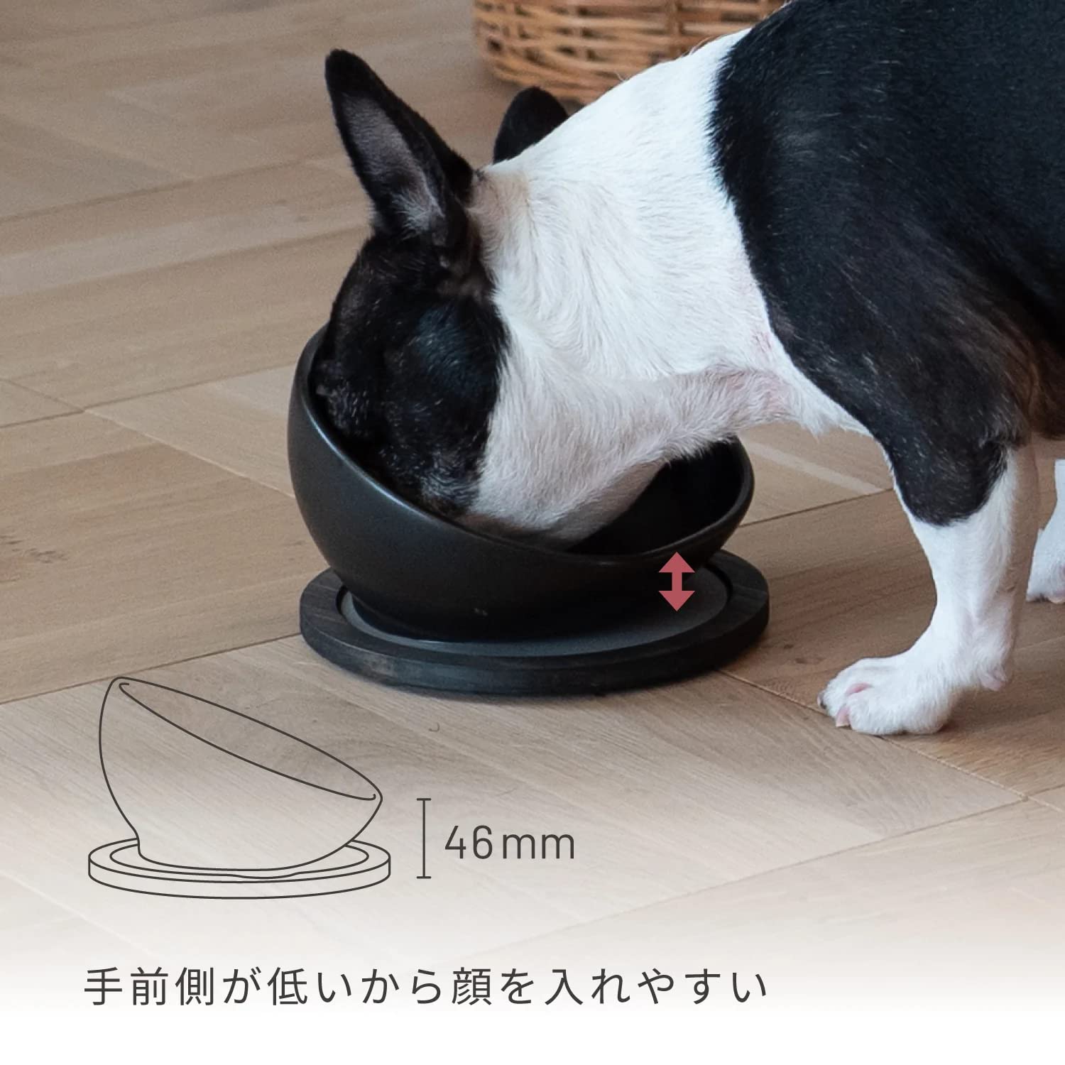 INK by HARIO TRD. BUHIプレ プレミアム フレンチブルドッグ マットブラック フレブル IK-BHP-MB INK