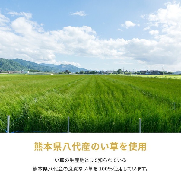 158002745 国産い草カーペット 琥珀 江戸間4.5畳 261×261 メーカー直送 158002745 国産い草カーペット 琥珀 江戸間4.5畳 261×261 メーカー直送