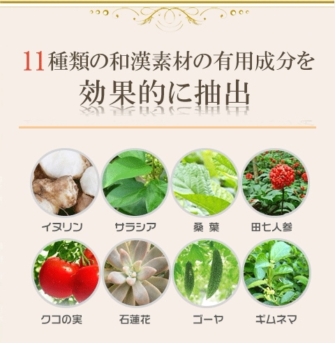 ダイエット 血糖値 サプリ 活A1C イヌリン お得な3本セット 90日分