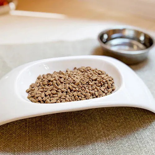 yum yum yum! ハイシニア 13+ チキン ドライタイプ 1.3kg 正規品 ヤムヤムヤム 国産素材 ドッグフード ドライフード 保存料 着色料 香料等 合成添加物 一切不使用 新鮮 国産 yum yum yum! ハイシニア 13+ チキン ドライタイプ 1.3kg 正規品 ヤムヤムヤム 国産素材 ドッグフード ドライフード 保存料 着色料 香料等 合成添加物 一切不使用 新鮮 国産