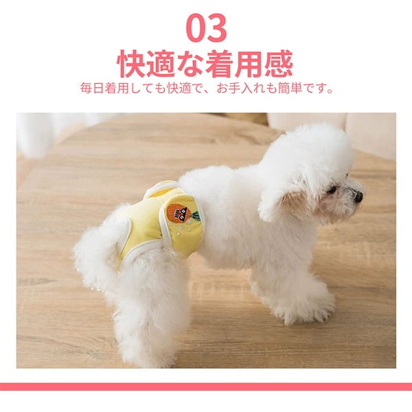 Qoo10] 犬 オムツ 生理パンツ サニタリーパンツ