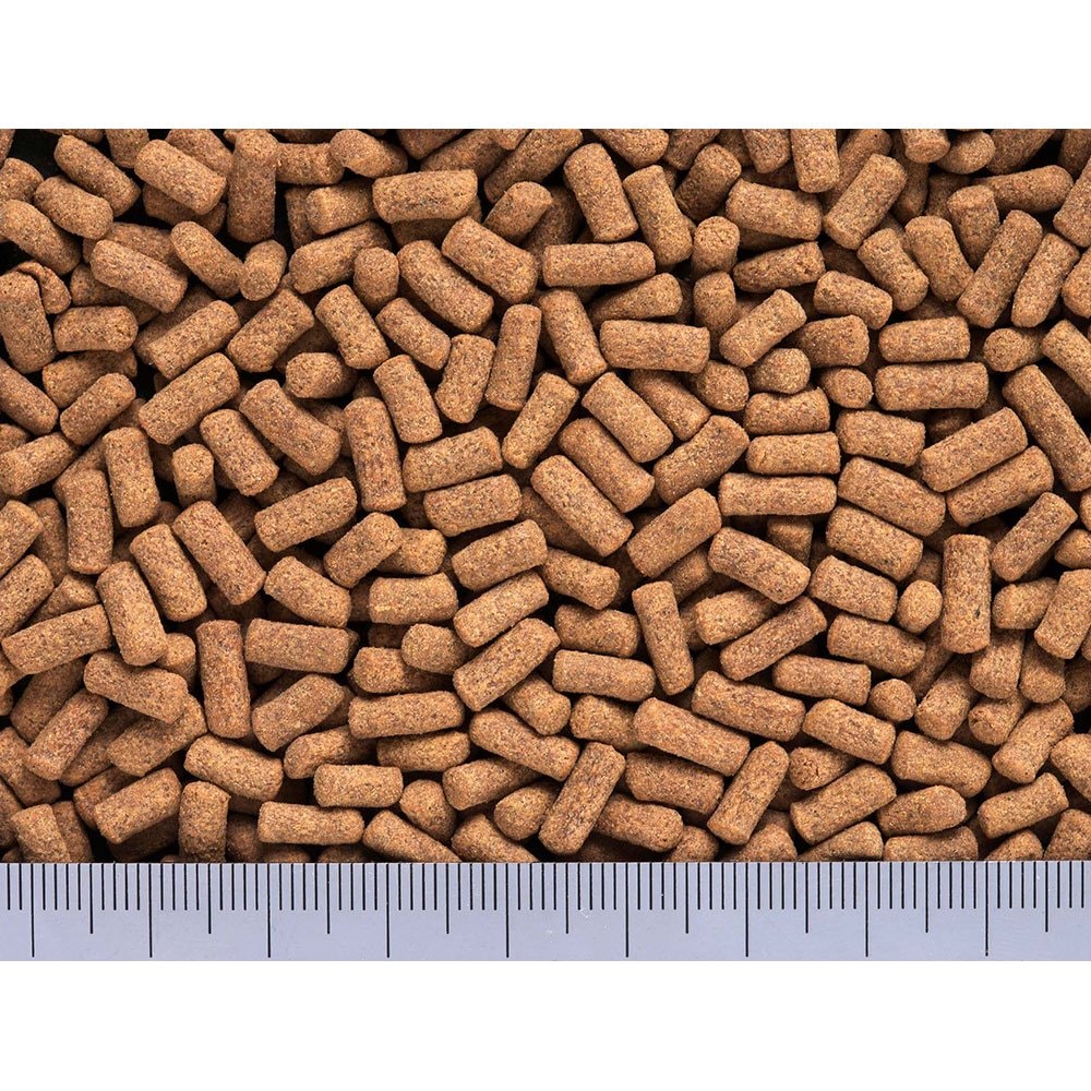 カメプロス 沈下性 390gX6個(大スティック 甲長8cm以上用) 餌 エサ お一人様5点限り CRC17―20―44―20―00 カメプロス 沈下性 390gX6個(大スティック 甲長8cm以上用) 餌 エサ お一人様5点限り CRC17―20―44―20―00