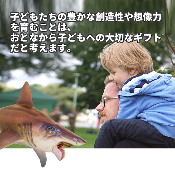Amazon.co.jp: PNSO 成長シリーズ ヘリコプリオン 魚類 動物