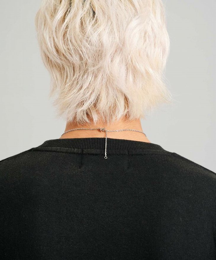 ネックレス メンズ ウナ＆ライオンコインネックレス サージカルステンレス316L LH-03NE0505 ステンレス アレルギーフリー 【ネコポス】