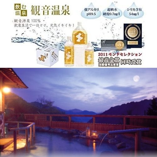 【自宅で温泉】観音温泉 バックインボックス 400L（20L×20個）おうち時間 プチ贅沢 温泉水 超軟水 天然シリカ水 美容 アルカリ源 pH9.5 飲む温泉 5つ星の宿
