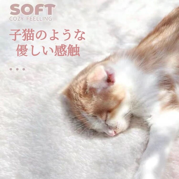ラグ カーペット 風寝室カーペット 洗える ラグマット 絨毯 マット 吸水性 速乾性 滑り止め 韓