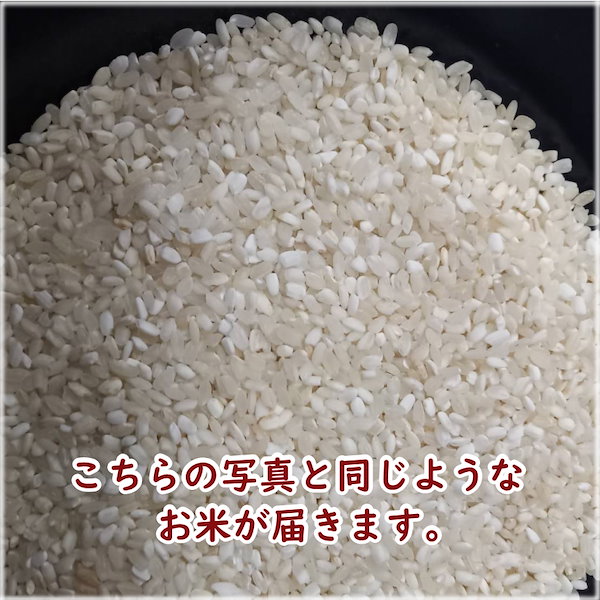 【再入荷しました！】米 30kg 激安 安い JAPANESE GOOD RICE 30kg rice 白米 お米 訳あり こめ 食品 がんばれ留学生!