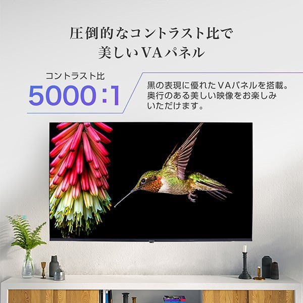 Qoo10] MAXZEN テレビ 50型 マクスゼン JU50SK