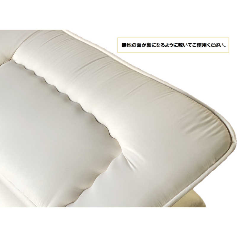イケヒコ　ダニが減っていく敷ふとん (100×210cm/シングルサイズ/ベージュ)