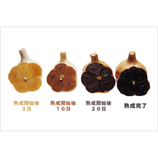 にんにく 黒にんにく 国産 堅実選品 熟成発酵黒にんにくほぐし お試しサイズ 52g 10個セット