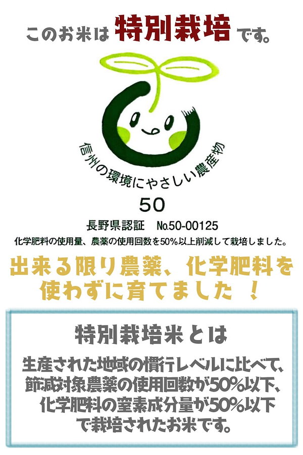 Qoo10] 野沢農産 新米 令和4年産 無洗米 コシヒカリ お