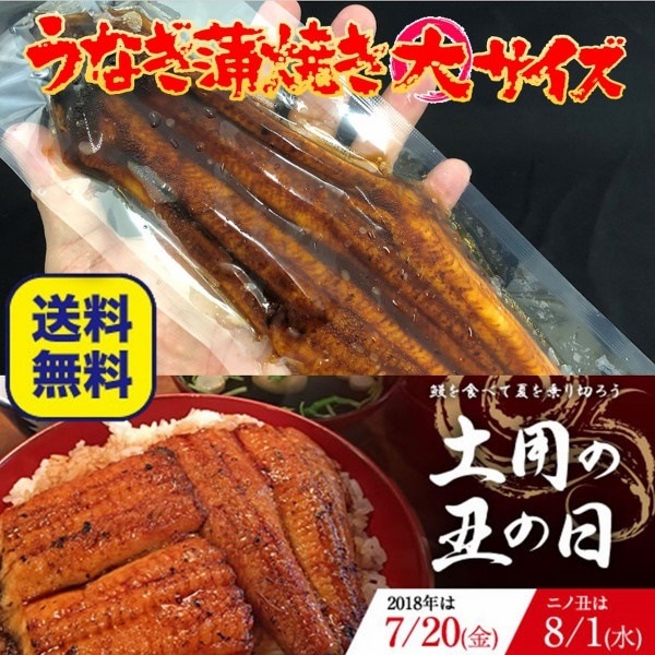 うなぎ蒲焼 200g 5本 長焼 炭火焼き 真空パック 最安値 鰻