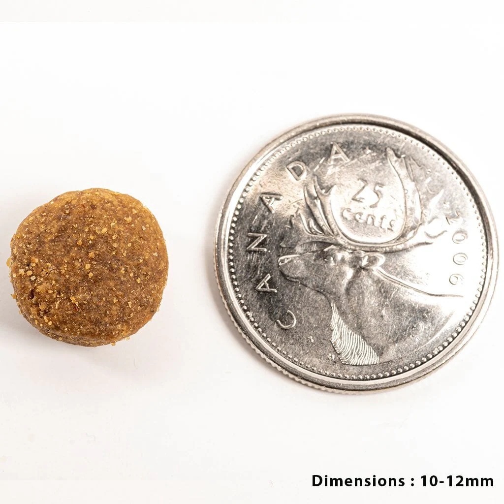 ペットカインド グリーンビーフトライプ 11.34kg 国産サクッとマグロ付き ブルーノママ ドッグフード Petkind 全年齢 全犬種