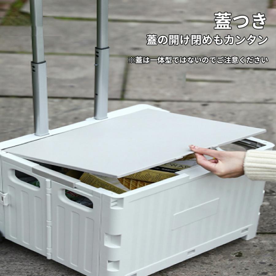 キャリーカート 折りたたみ 階段 ワゴン 台車 ショッピングカート 高齢者 容量40L アウトドア 大容量 耐荷重50kg キャスター付 フタ付 キャリーカート 折りたたみ 階段 ワゴン 台車 ショッピングカート 高齢者 容量40L アウトドア 大容量 耐荷重50kg キャスター付 フタ付