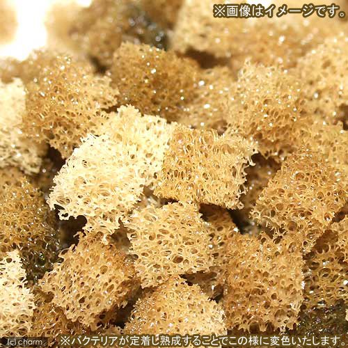 (海水魚)ろ材 海水用 Gel Cube+(ゲルキューブ・プラス) バクテリア付き スモール 3リットル CRC26―11―00―00―00 (海水魚)ろ材 海水用 Gel Cube+(ゲルキューブ・プラス) バクテリア付き スモール 3リットル CRC26―11―00―00―00